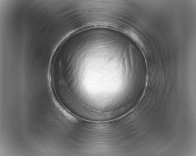 X0000071931084200607212128