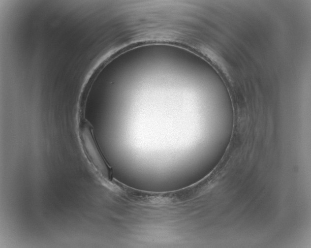 X0000071931085200607212128