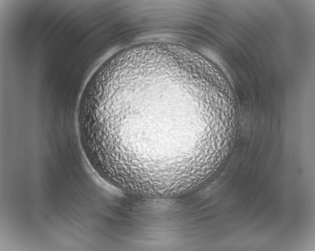 X0000071931090200607212128