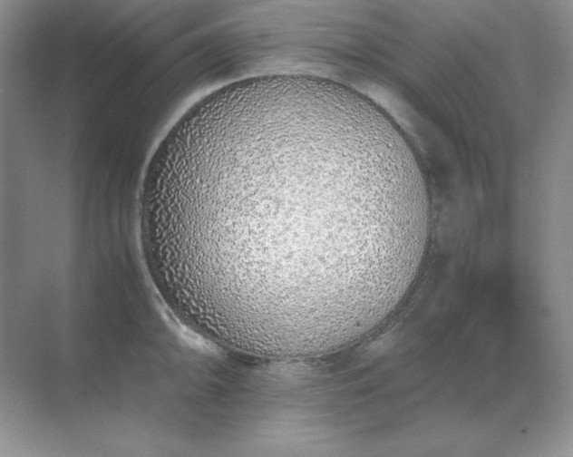 X0000071931094200607212128