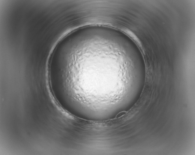 X0000071931096200607212128