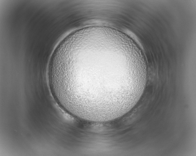 X0000071931098200607212127