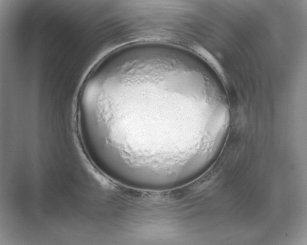 X0000071931099200607212127