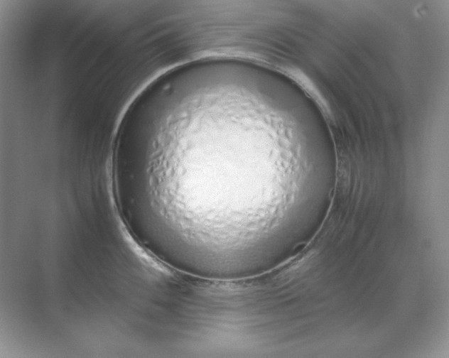 X0000071931100200607212127