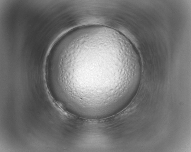 X0000071931104200607212127