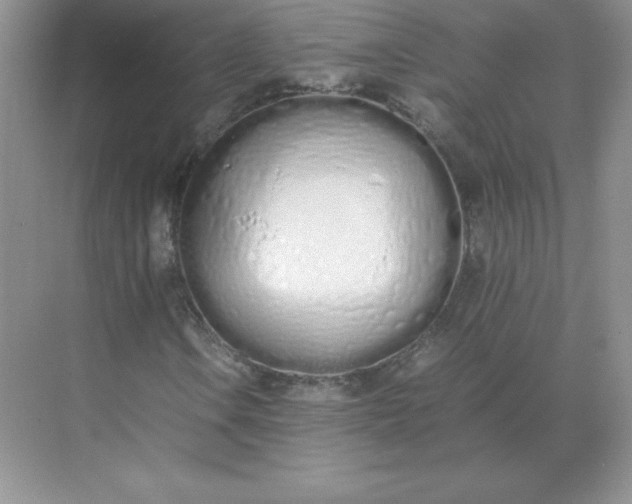 X0000071931106200607212127