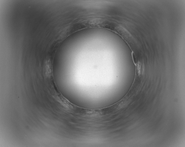 X0000071931107200607212127