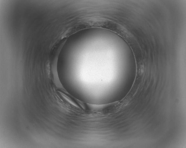X0000071931108200607212127