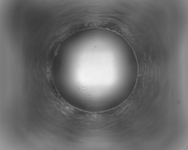X0000071931109200607212127