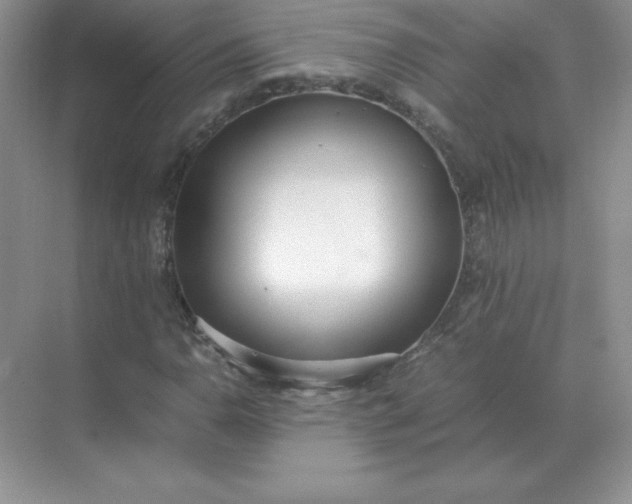 X0000071931110200607212127