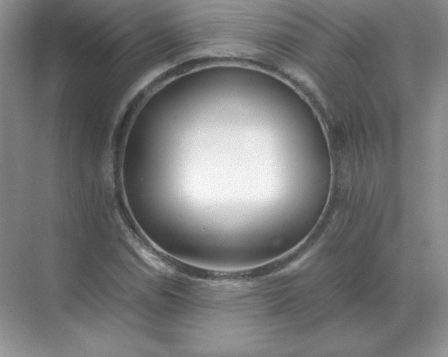 X0000071931114200607212127