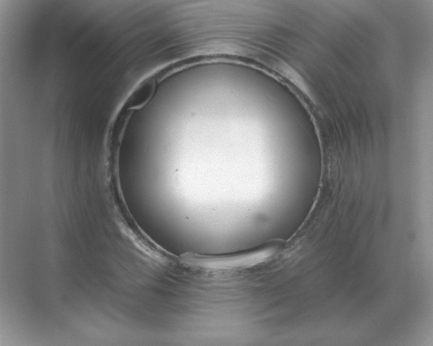 X0000071931116200607212127