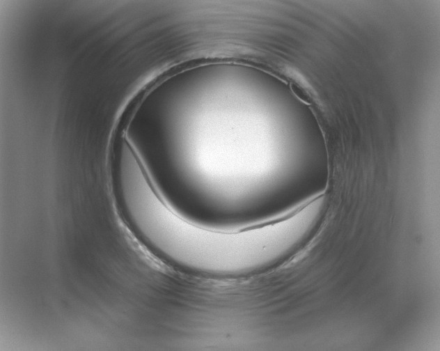 X0000071931122200607212127