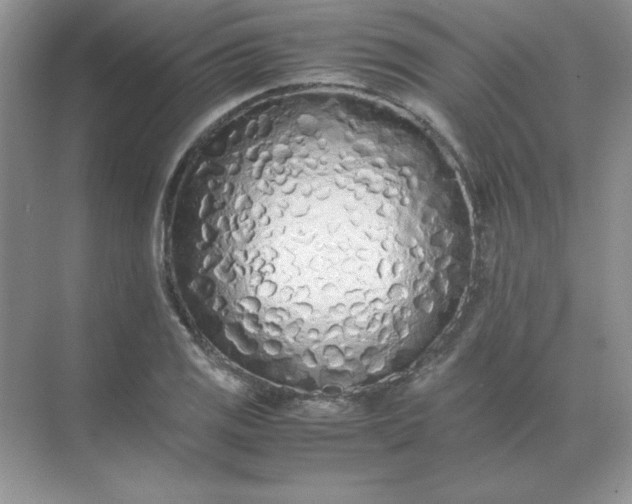 X0000071931125200607212127