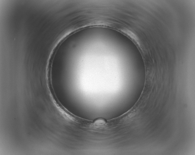 X0000071931135200607212127