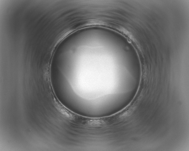 X0000071931137200607212127