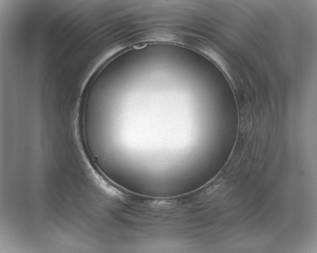 X0000071931139200607212127
