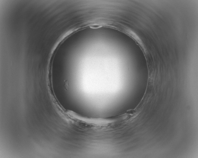 X0000071931146200607212127