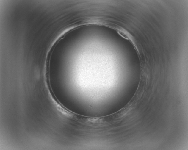 X0000071931147200607212127