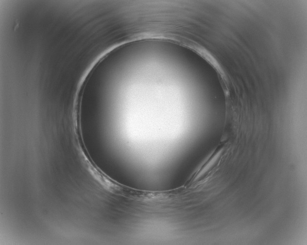X0000071931148200607212127