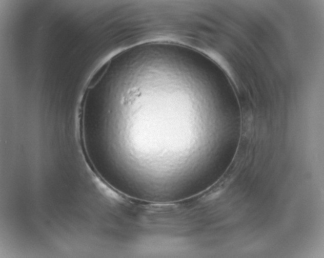 X0000071931151200607212127