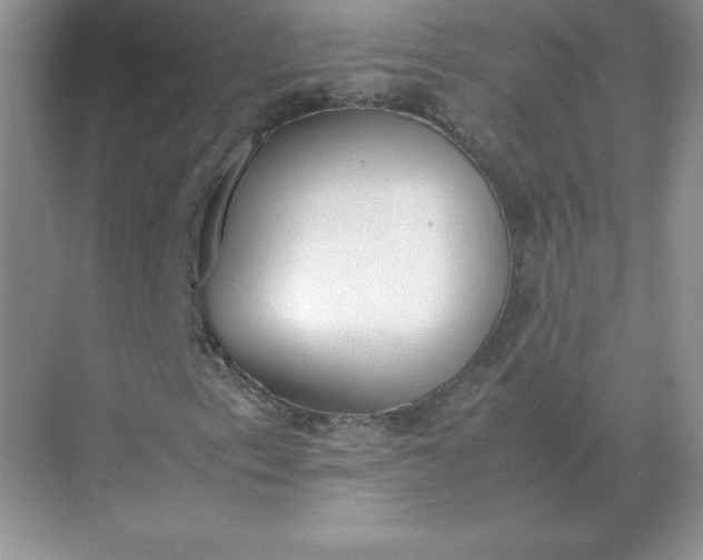 X0000071931153200607212127