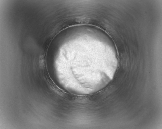 X0000071931154200607212127