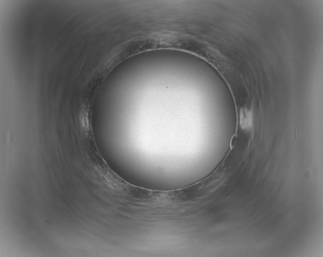 X0000071931155200607212127