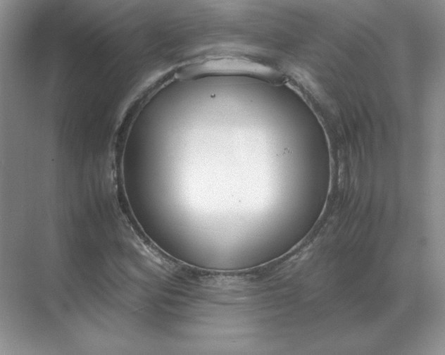 X0000071931164200607212126