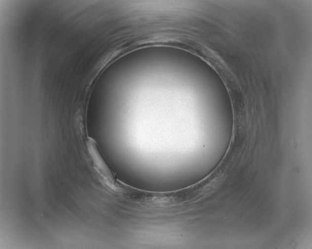 X0000071931177200607212126