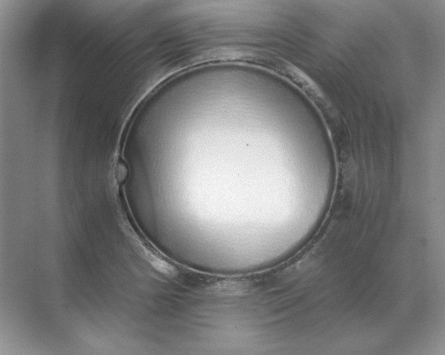 X0000071931178200607212126