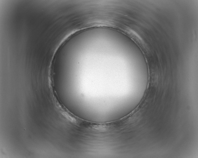 X0000071931182200607212126