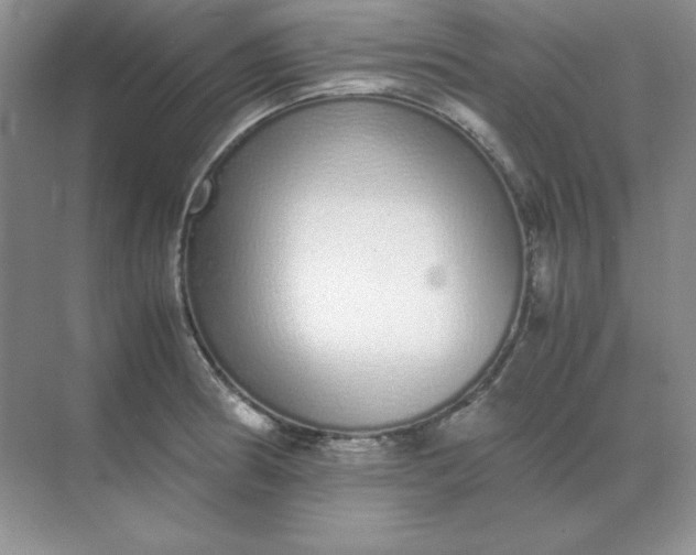 X0000071931186200607212126