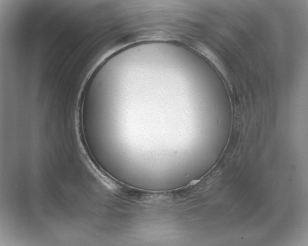 X0000071931187200607212126