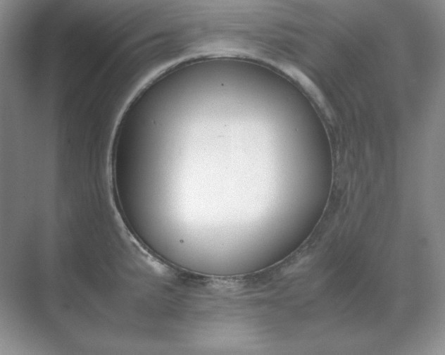 X0000071931191200607212126