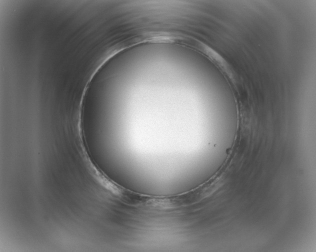 X0000071931194200607212126
