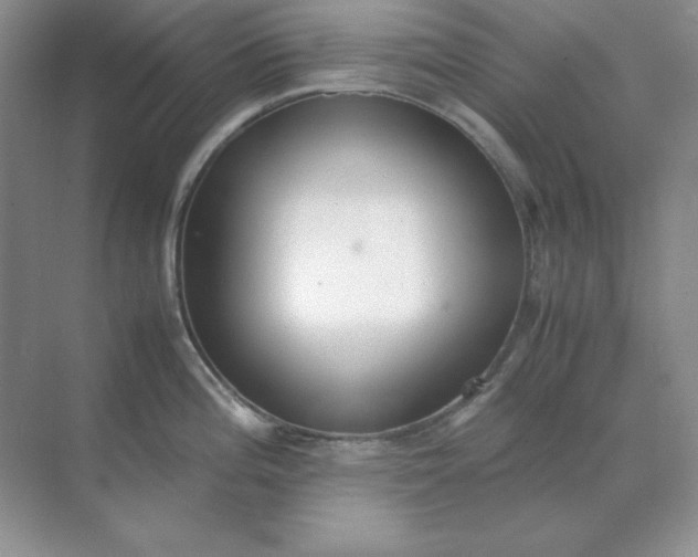 X0000071931196200607212126
