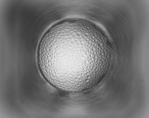 X0000071931199200607212126