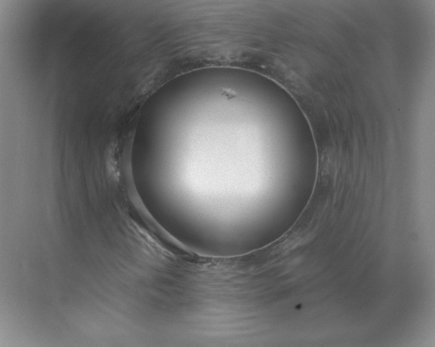 X0000071931202200607212125