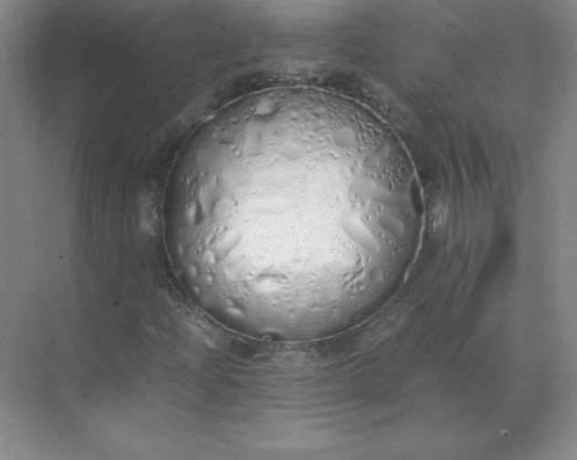 X0000071931204200607212125