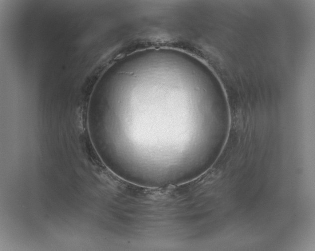 X0000071931205200607212125