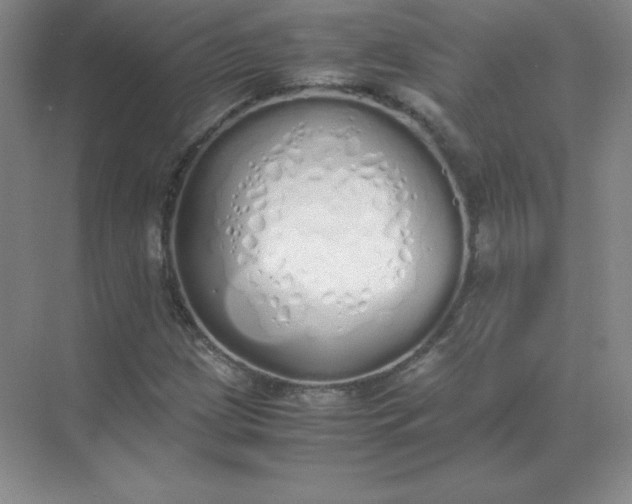 X0000071931209200607212125