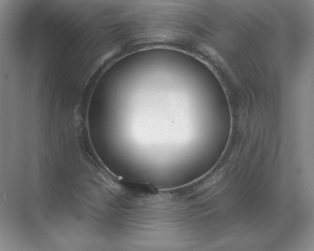 X0000071931210200607212125