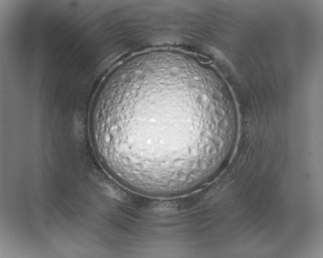 X0000071931217200607212125