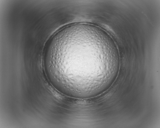 X0000071931220200607212125