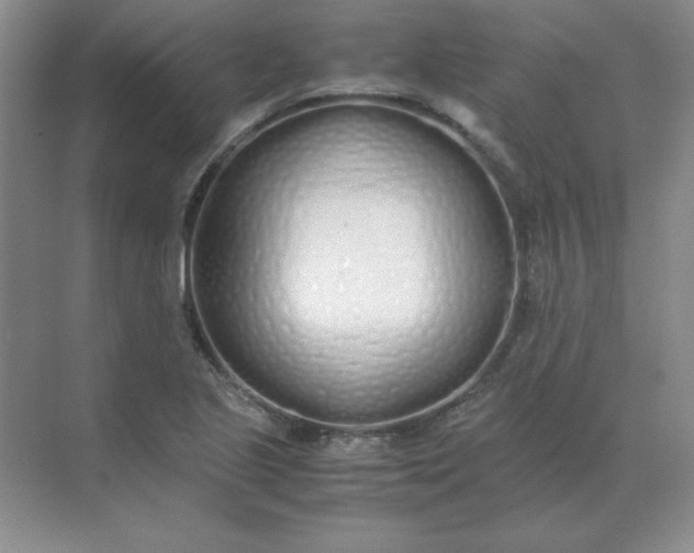 X0000071931221200607212125