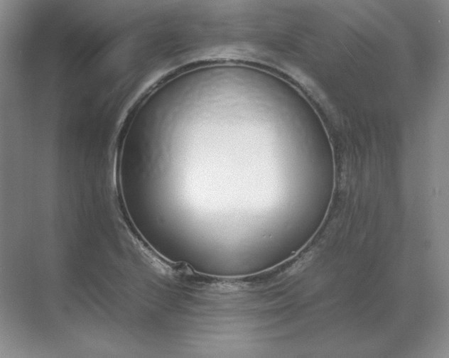X0000071931224200607212125