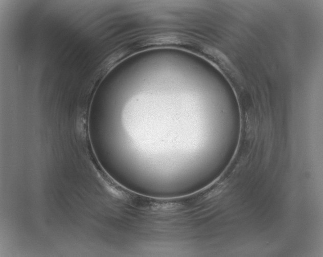 X0000071931225200607212125