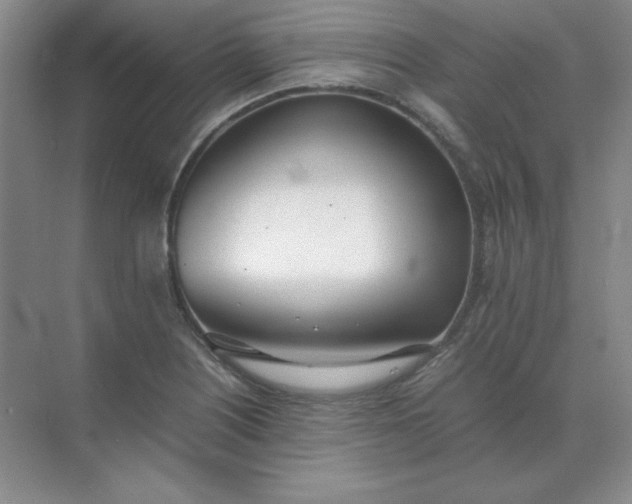 X0000071931226200607212125