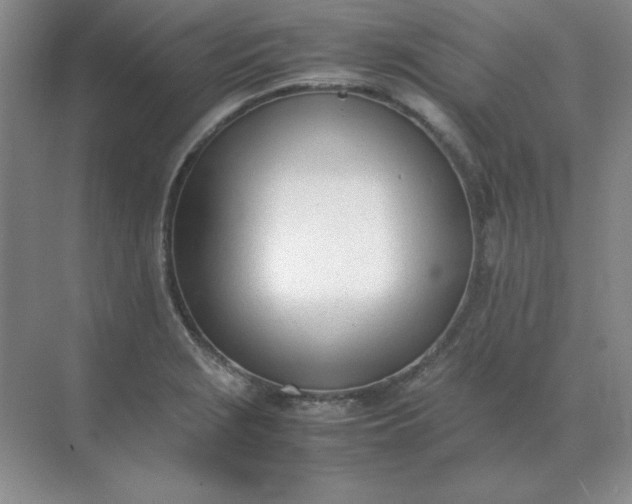 X0000071931229200607212125